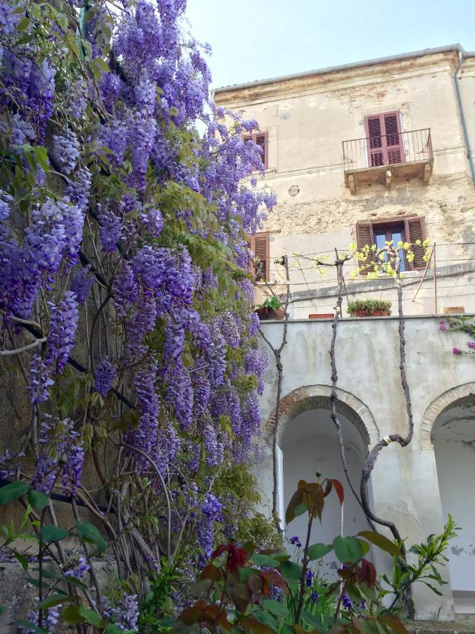 Palazzo De Fabritiis Bed & Breakfast Rosciano  Luaran gambar
